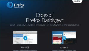 Firefox Datblygwr - rhyngwyneb