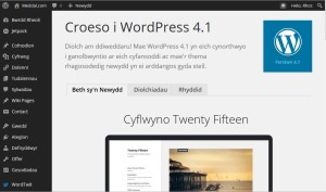 WordPress 4.1cy